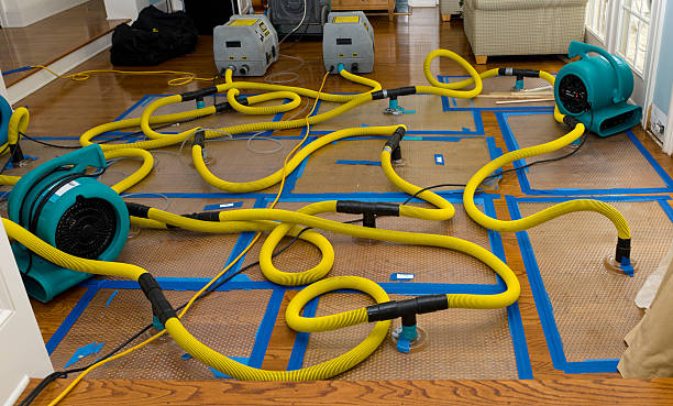 Professional Water Extraction technician working in Higgins Lake, MI